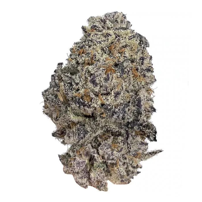 [14783] Growers Choice Original Oreoz Fem 3St.