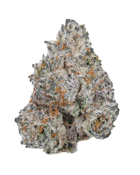 [14785] Growers Choice White Truffle Limited Edition Fem 3St.