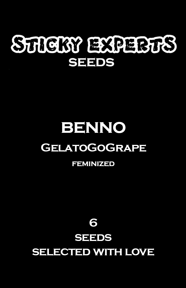 [14807] Sticky Experts Benno GelatoGoGrape Fem 6St.