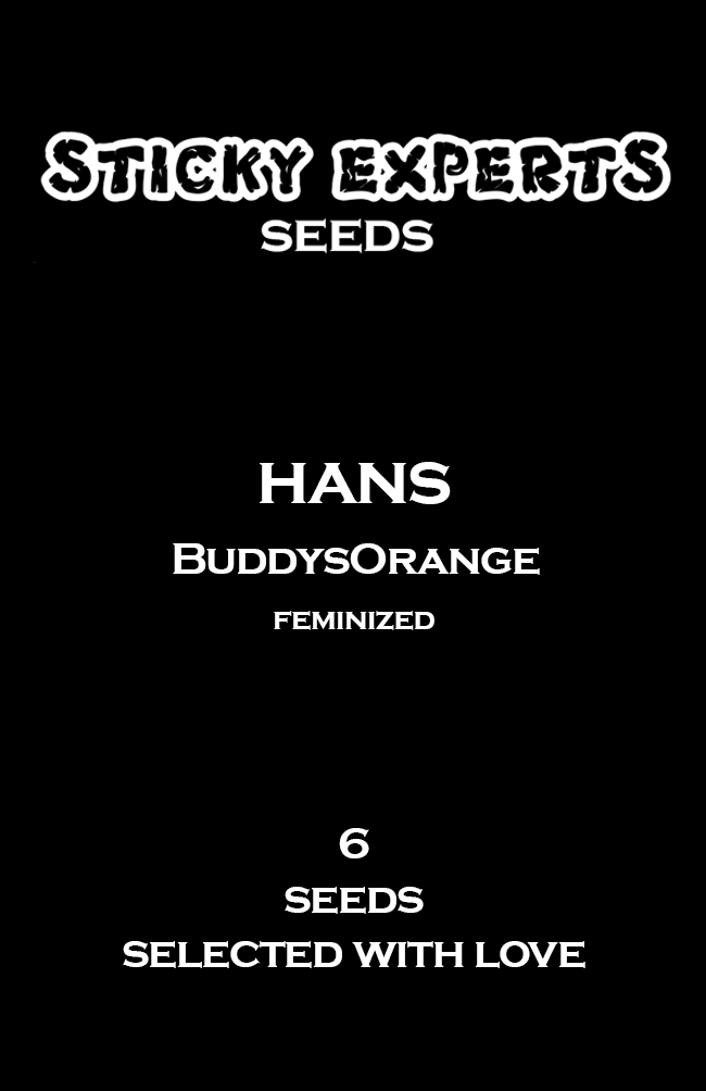 [14810] Sticky Experts Hans BuddysOrange Fem 6St.