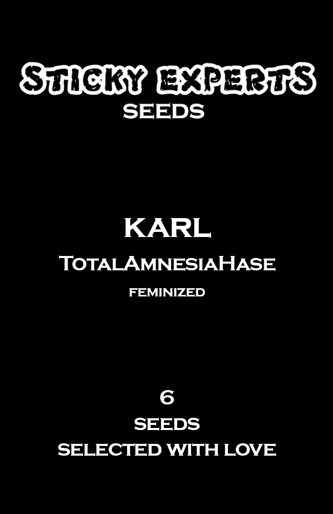 [14812] Sticky Experts Karl TotalAmnesiaHase Fem 6St.