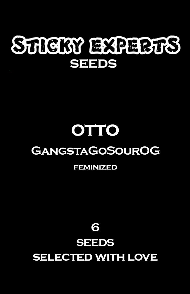 [14814] Sticky Experts Otto GangstaGoSourOG Fem 6St.