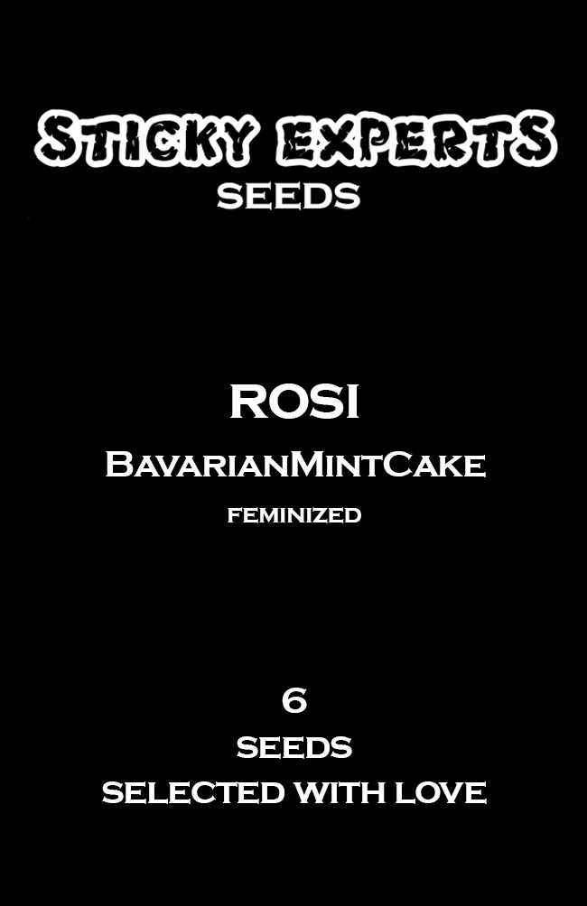 [14815] Sticky Experts Rosi BavarianMintCake Fem 6St.