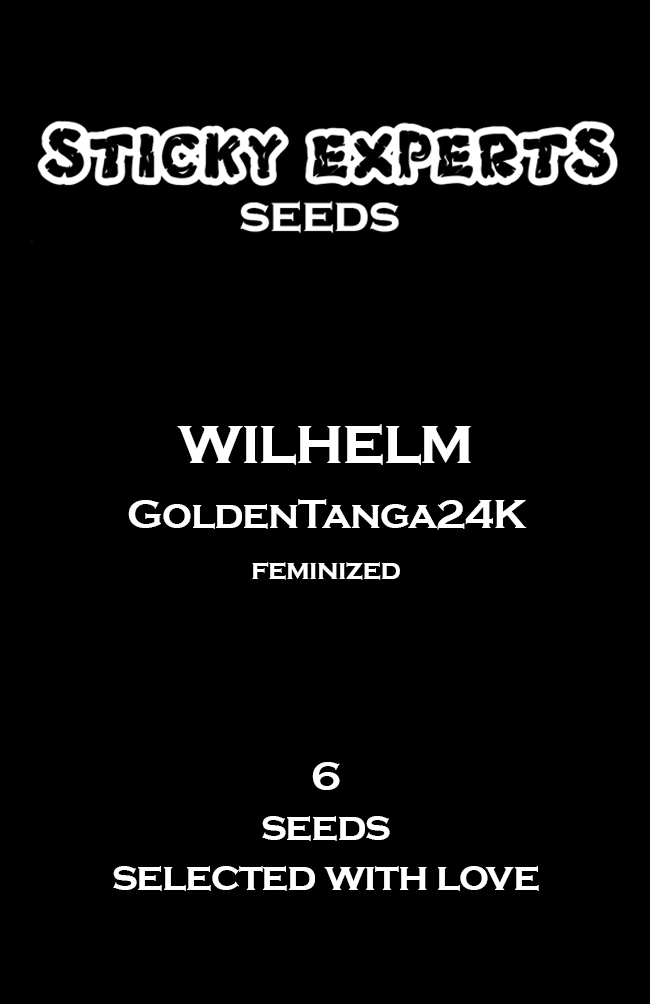 [14817] Sticky Experts Wilhelm GoldenTanga24K Fem 6St.