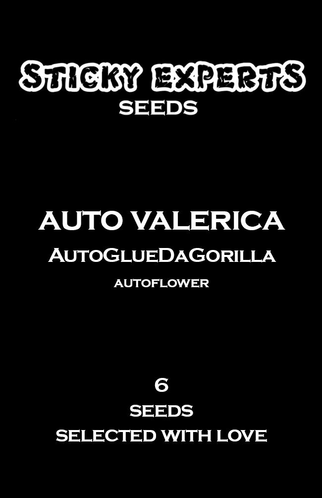 [14819] Sticky Experts Auto Valerica GlueDaGorilla Fem 6St.
