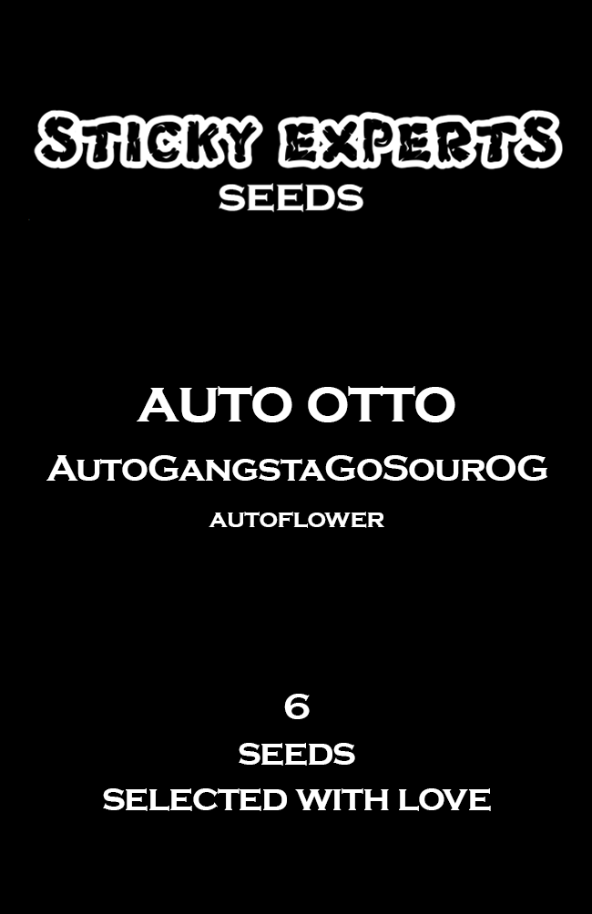 [14821] Sticky Experts Auto Otto GangstaGoSourOg Fem 6St.