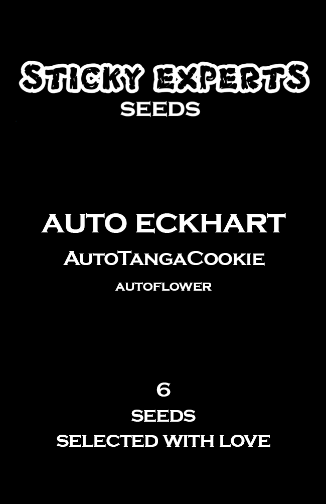 [14822] Sticky Experts Auto Eckhart TangaGoCookie Fem 6St.