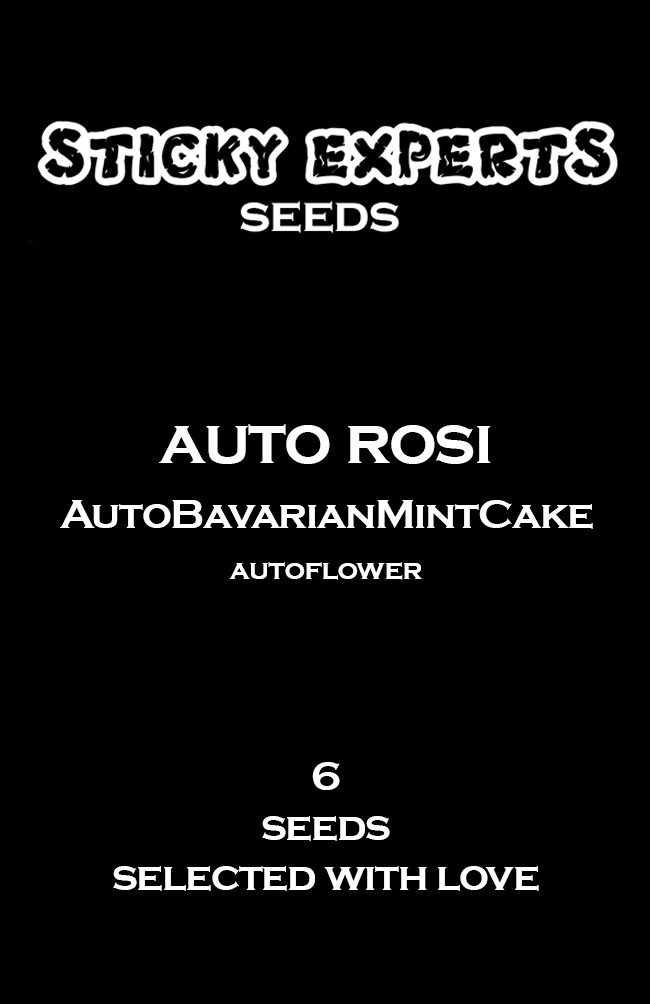 [14823] Sticky Experts Auto Rosi BavarianMintCake Fem 6St.