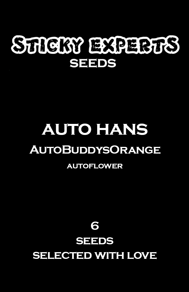[14824] Sticky Experts Auto Hans BuddysOrange Fem 6St.