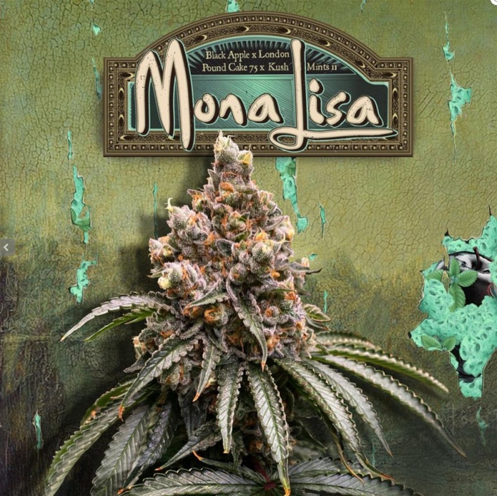 [14825] T.H. Seeds Mona Lisa Fem 6St.