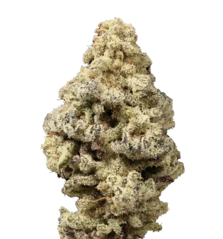 [14839] Growers Choice Mac N Cheese Fem 3St.