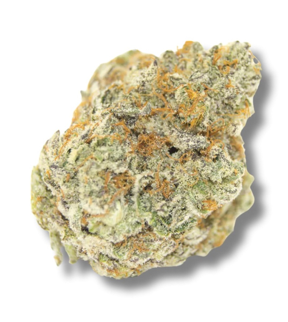 [14841] Growers Choice Permanent Whitemarker Fem 3St.