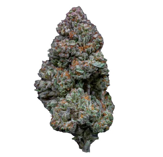 [14896] Growers Choice RS 11 Fem 3St.