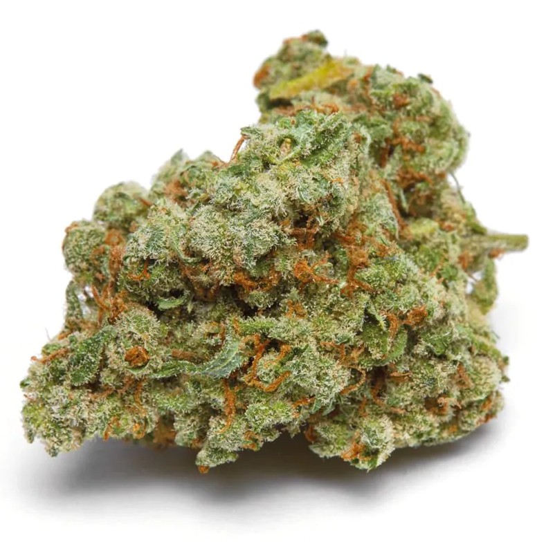 [14900] Growers Choice Banana Sherbert XXL Auto Fem 3St.