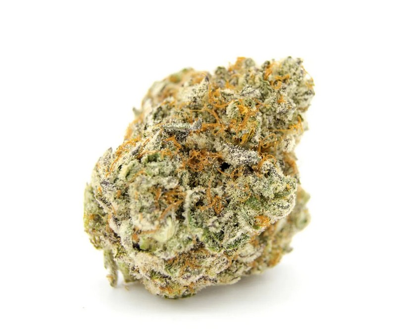 [14901] Growers Choice Forbidden Runtz XXL Auto Fem 3St.