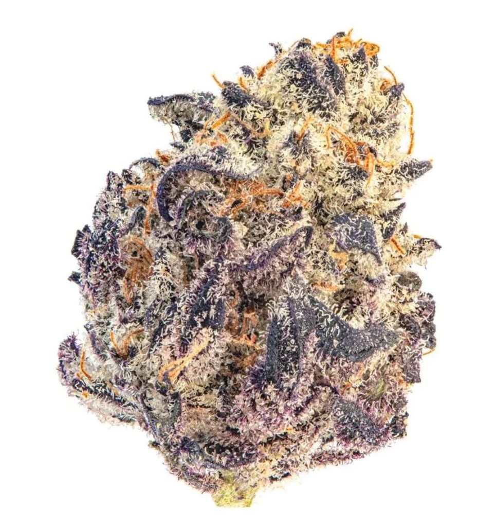 [14902] Growers Choice Cherry MAC Muffin Fem 3St.