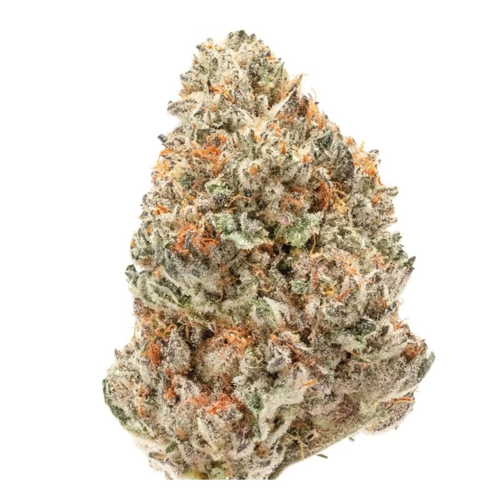[14905] Growers Choice Watermelon Weddingcake Fem 3St.