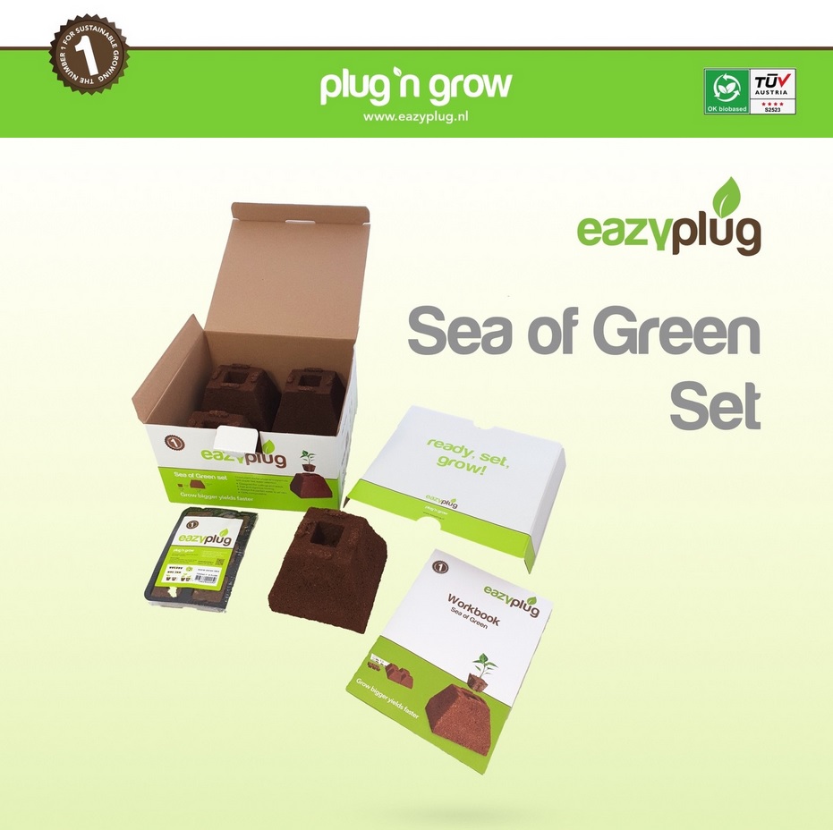 [10925] Eazy Plug Sea of Green Set