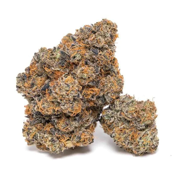 [14956] Growers Choice King Louis Garcia Fem 3St.