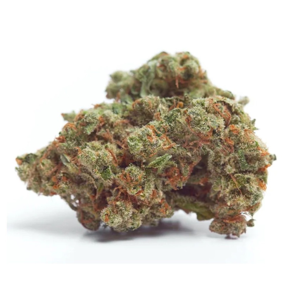 [14957] Growers Choice Gorilla Cookies Fem 3St.