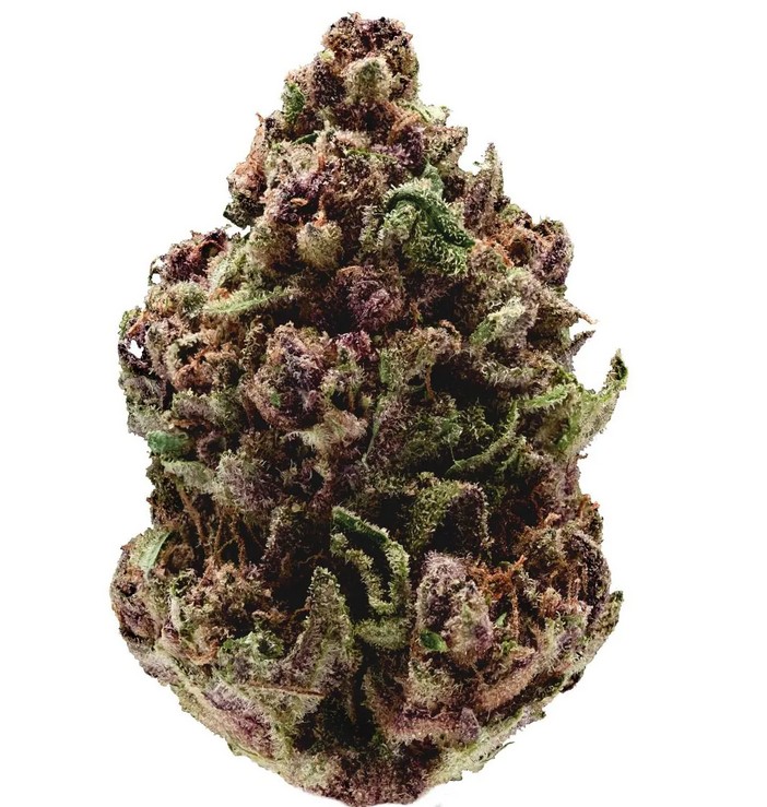 [14958] Growers Choice Pink Magic Fast Version Fem 3St.