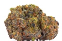 Growers Choice San Fernando Valley X Purps Fem 3St.