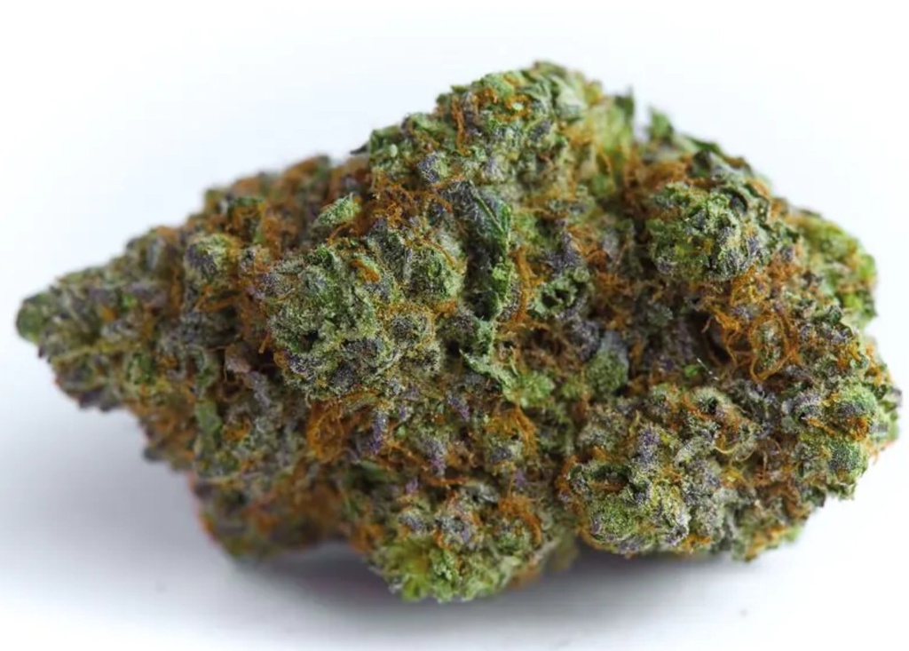 [14962] Growers Choice Blue Forest Berry Auto Fem 3St.