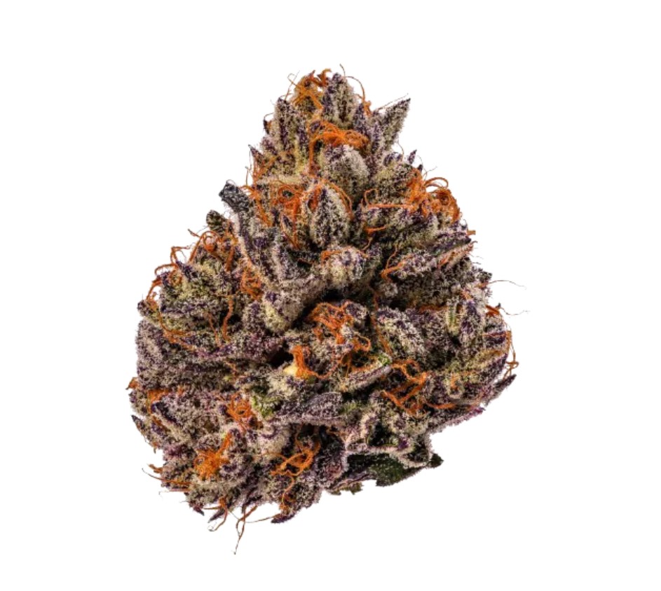 [14966] Growers Choice Tropicana Cherry Triploid Fem 3St.