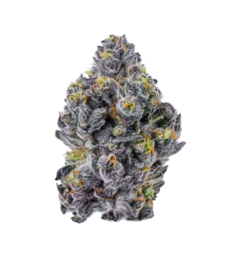 [14968] Growers Choice Sticky Wasabi Triploid Fem 3St.