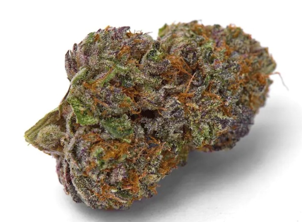[14971] Growers Choice Purple Dosi Punch Fem 3St.
