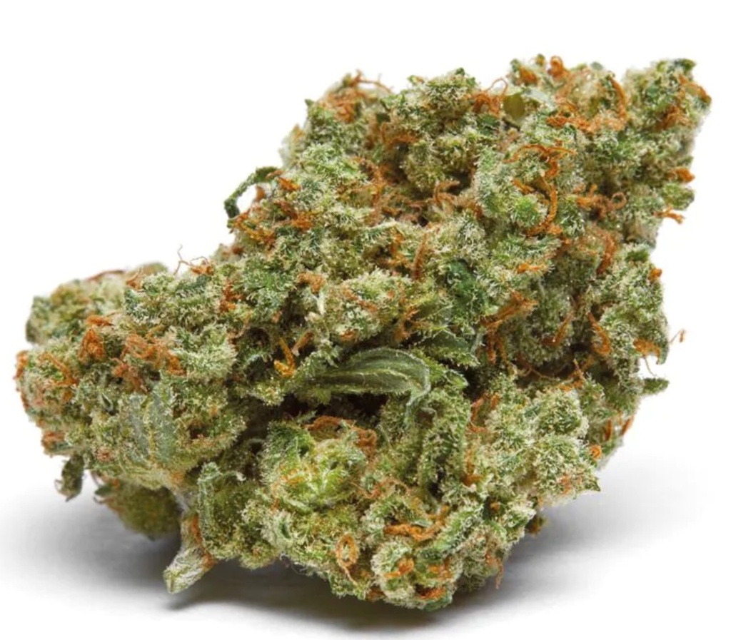 [14972] Growers Choice The Real Amnesia Fem 10St.