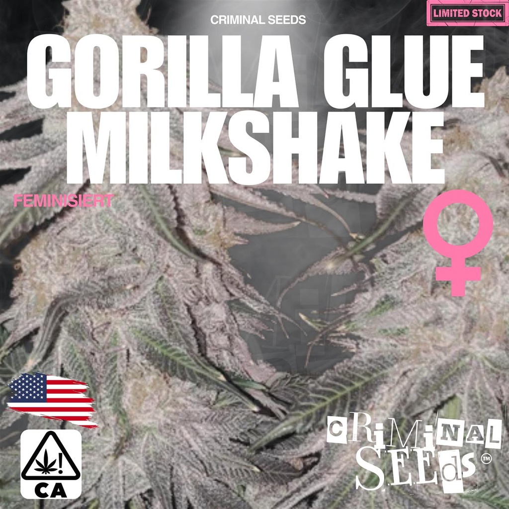 [15387] Criminal Seeds Gorilla Glue Milkshake X Cali Fem 3St.