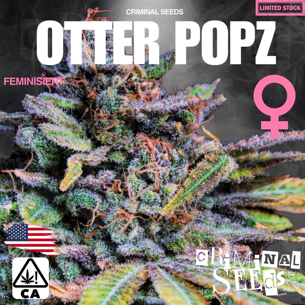 [15388] Criminal Seeds Otter Popz x Cali Fem 3St.