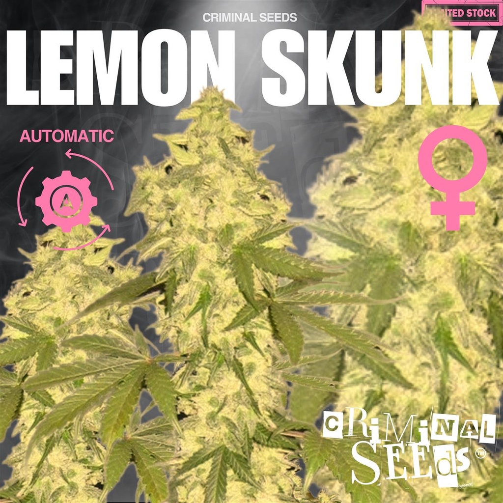[15401] Criminal Seeds Lemon Skunk Auto Fem 3St.