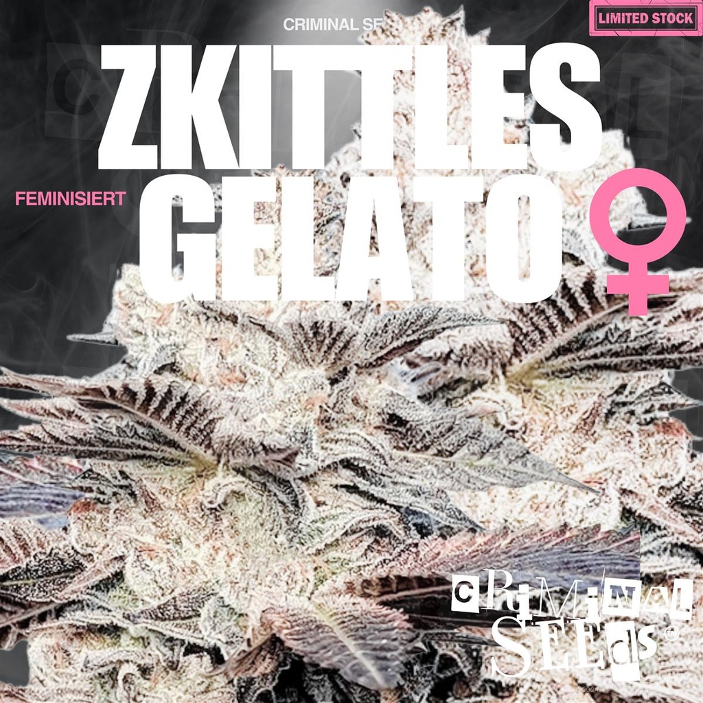 [15405] Criminal Seeds Zkittles Gelato Fem 3St.