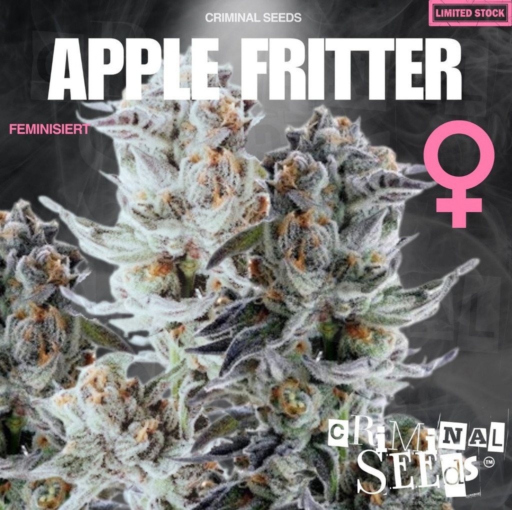[15418] Criminal Seeds Apple Fritter Fem 3St.