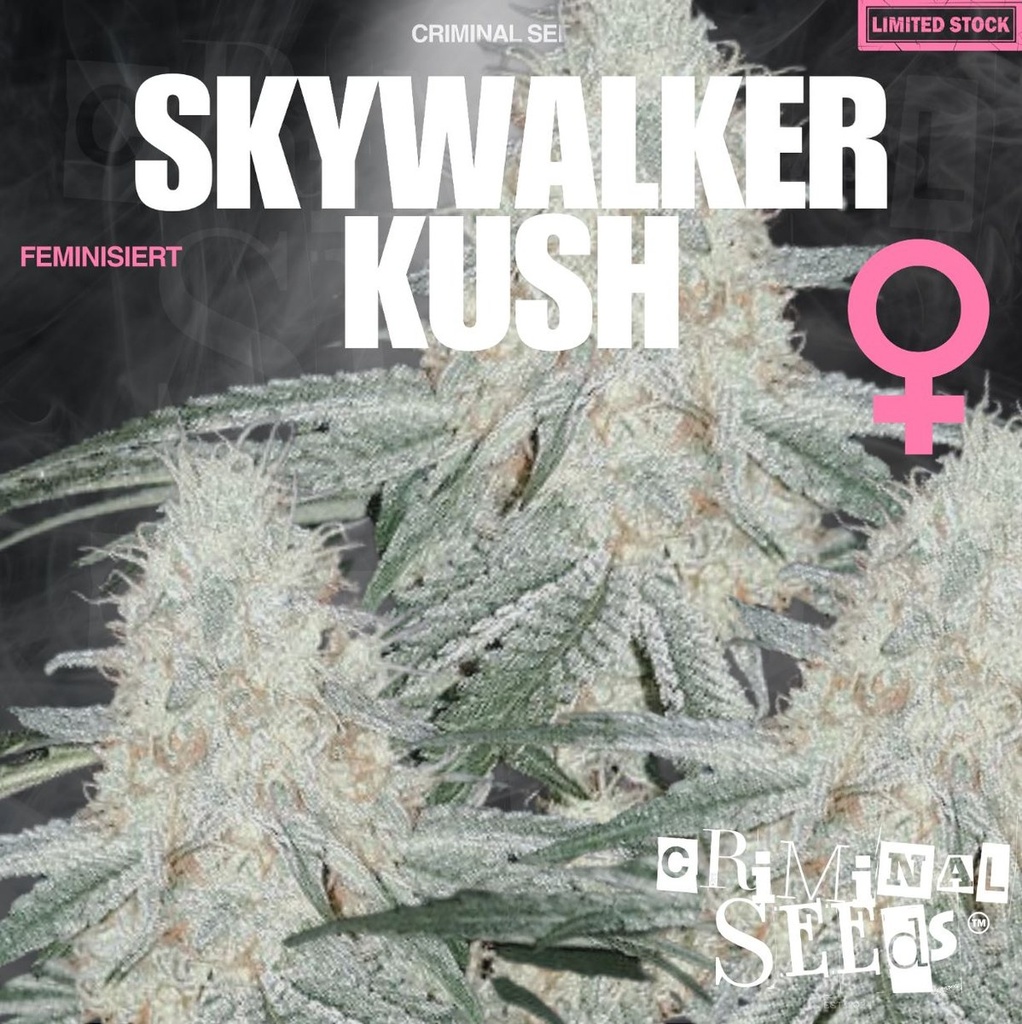 [15419] Criminal Seeds Skywalker OG Fem 3St.