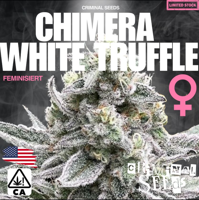 Criminal Seeds White Truffle Cali Limited Edition Fem 3St.