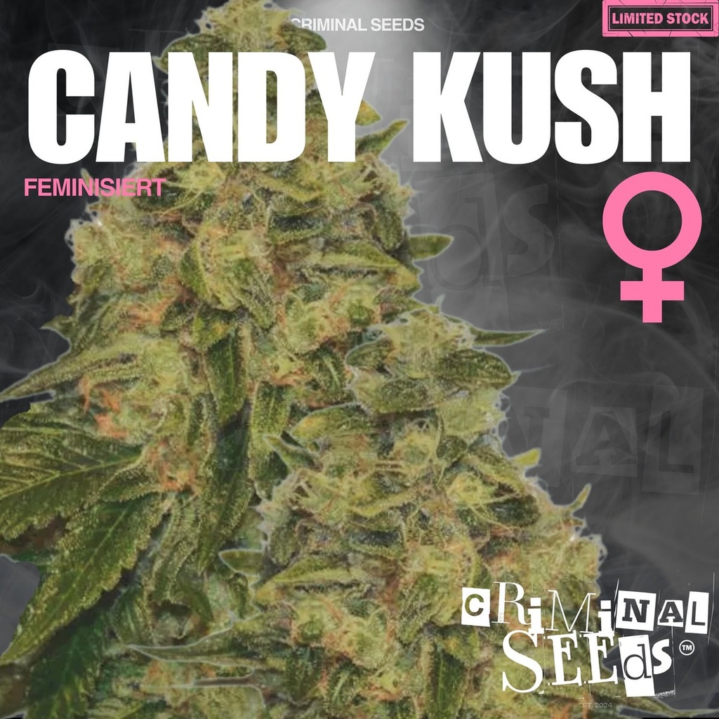 [15433] Criminal Seeds Candy Kush Fem 3St.