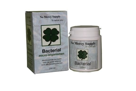 [10642] No Mercy Bacterial 200ml