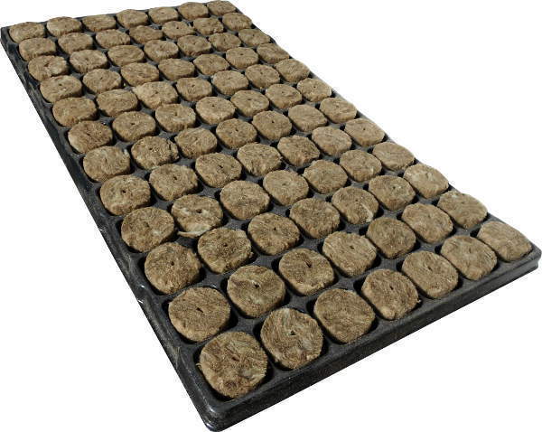 [13491] Speedgrow Green 84er Tray Ø38mm / 40mm