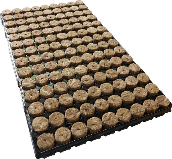 [13525] Speedgrow Green 126er Tray Ø28mm / 40mm