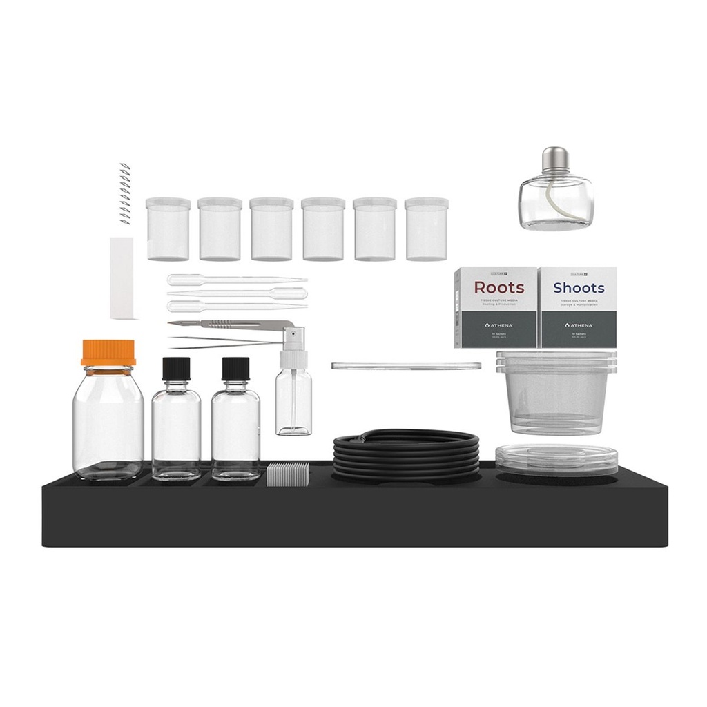 [12334] Athena Glassware Kit