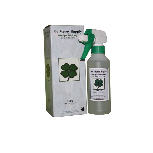 [12537] No Mercy GA Spray 250ml