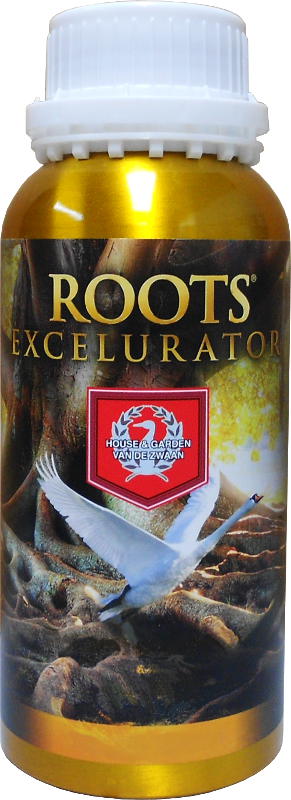 [14188] House & Garden Root Excelurator 1 Liter