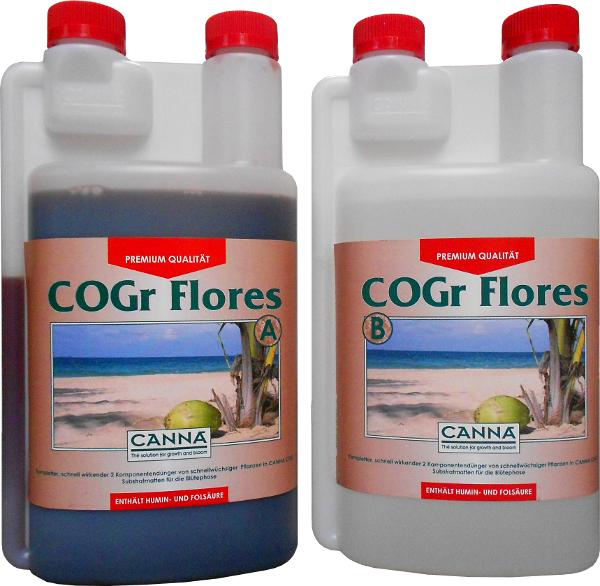 [11738] CANNA COGr Flores (1 l)