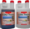 CANNA COGr Flores