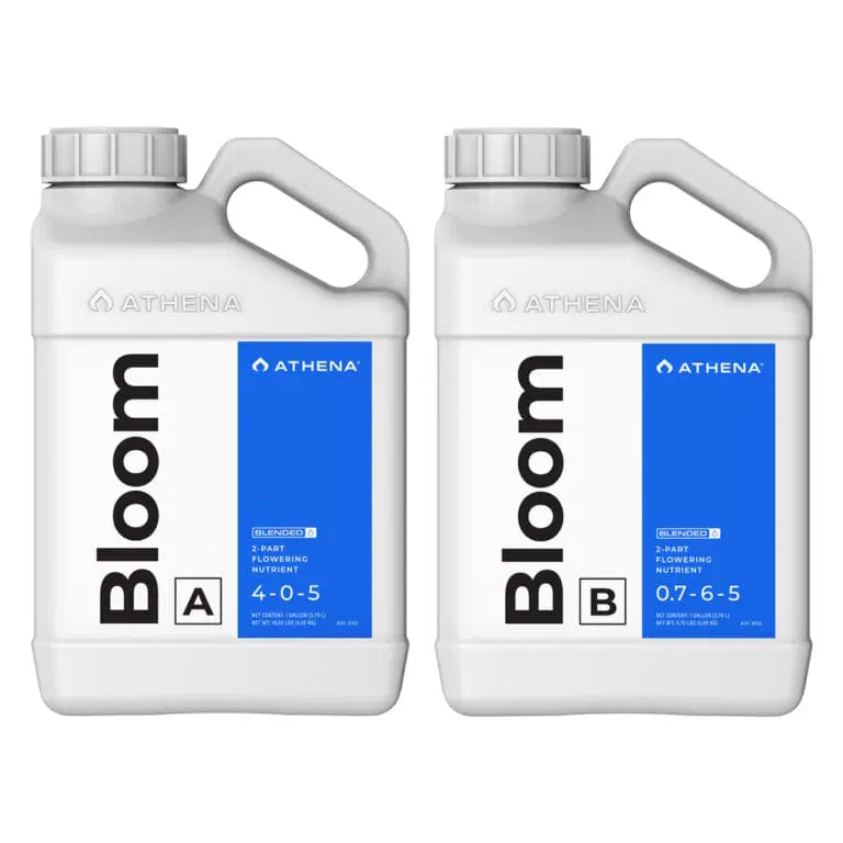 [11145] Athena Bloom A + B (940 ml)