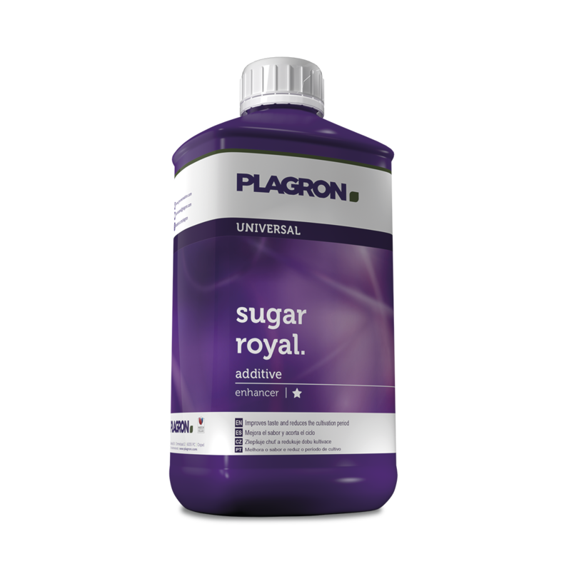 [12005] Plagron Sugar Royal (100 ml)