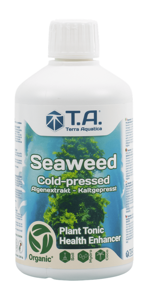 [11744] T. A. Seaweed (1L)